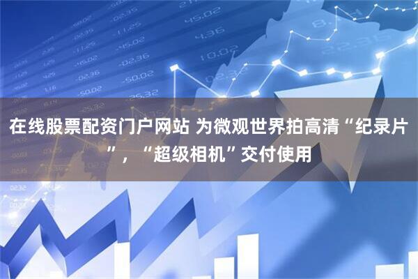 在线股票配资门户网站 为微观世界拍高清“纪录片”，“超级相机”交付使用