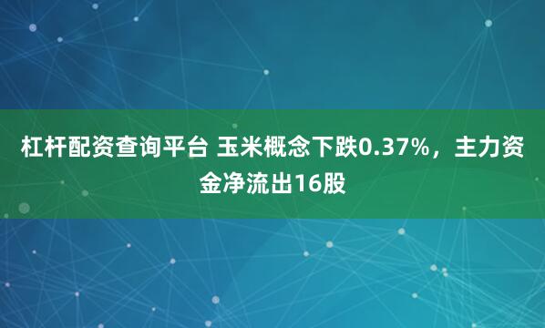 杠杆配资查询平台 玉米概念下跌0.37%，主力资金净流出16股