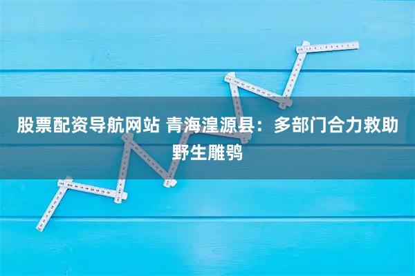 股票配资导航网站 青海湟源县:多部门合力救助野生雕鸮